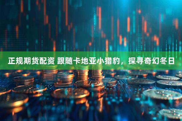 正规期货配资 跟随卡地亚小猎豹，探寻奇幻冬日