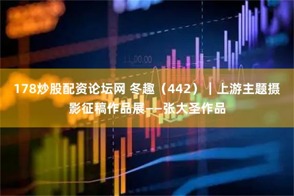178炒股配资论坛网 冬趣（442）｜上游主题摄影征稿作品展——张大圣作品