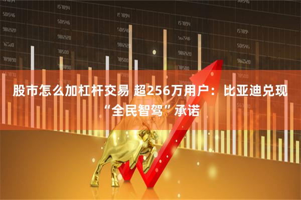 股市怎么加杠杆交易 超256万用户：比亚迪兑现“全民智驾”承诺