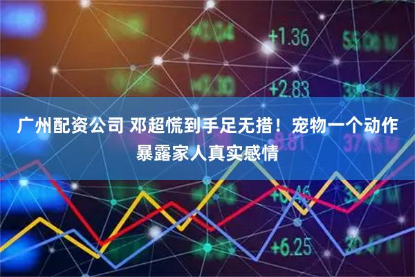 广州配资公司 邓超慌到手足无措！宠物一个动作暴露家人真实感情